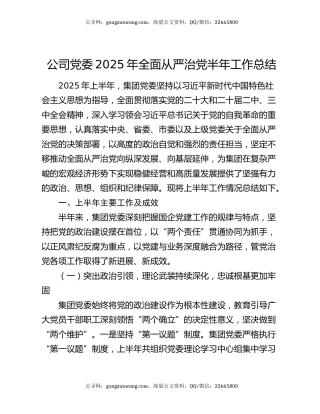 公司党委2025年全面从严治党半年工作总结