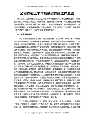 公司党委上半年抓基层党建工作总结
