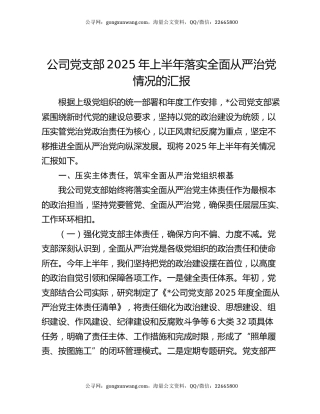 公司党支部2025年上半年落实全面从严治党情况的汇报