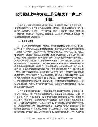 公司党组上半年党建工作总结及下一步工作打算