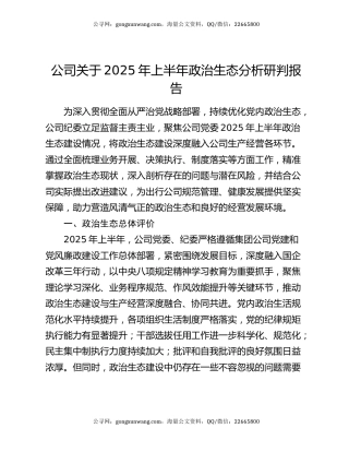 公司关于2025年上半年政治生态分析研判报告