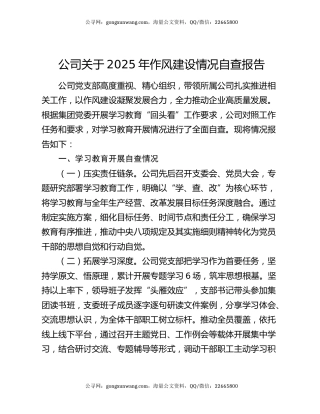 公司关于2025年作风建设情况自查报告