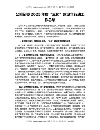 公司纪委2025年度“三化”建设年行动工作总结
