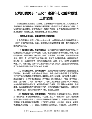 公司纪委关于“三化”建设年行动的阶段性工作总结