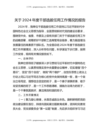 关于2024年度干部选拔任用工作情况的报告