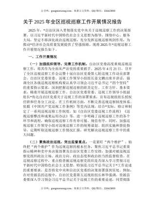 关于2025年全区巡视巡察工作开展情况报告