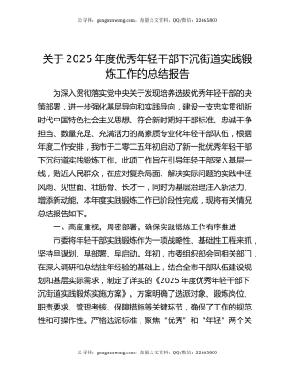 关于2025年度优秀年轻干部下沉街道实践锻炼工作的总结报告
