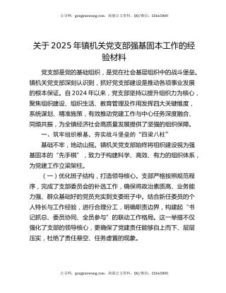 关于2025年镇机关党支部强基固本工作的经验材料