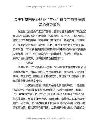 关于对某市纪委监委“三化”建设工作开展情况的督导报告