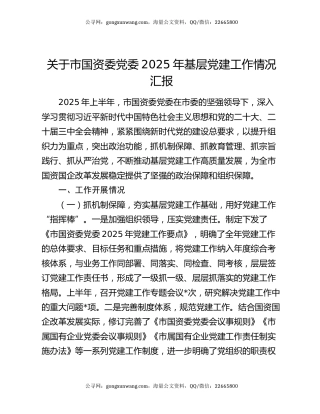 关于市国资委党委2025年基层党建工作情况汇报