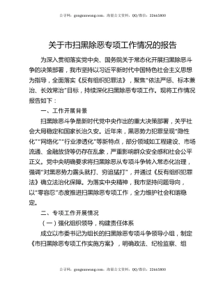 关于市扫黑除恶专项工作情况的报告