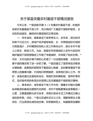 关于某县关爱农村基层干部情况报告