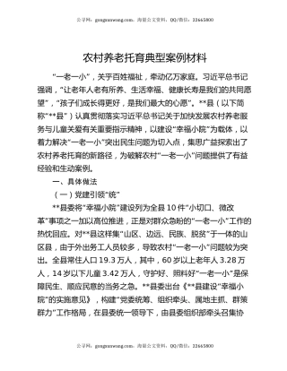 农村养老托育典型案例材料