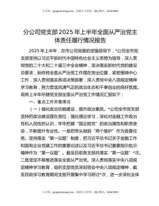 分公司党支部2025年上半年全面从严治党主体责任履行情况报告