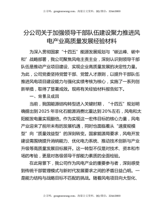 分公司关于加强领导干部队伍建设聚力推进风电产业高质量发展经验材料