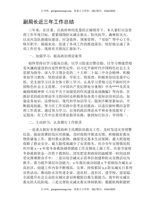 副局长近三年工作总结