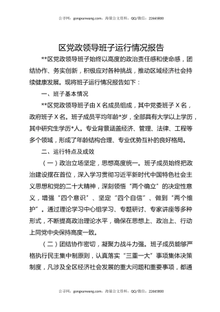 区党政领导班子运行情况报告