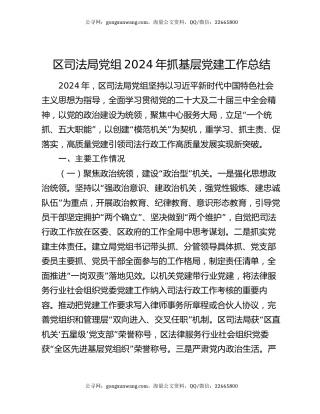 区司法局党组2024年抓基层党建工作总结