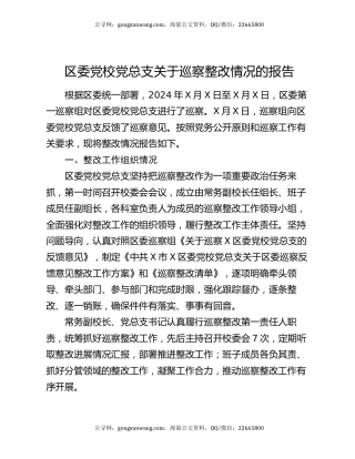 区委党校党总支关于巡察整改情况的报告
