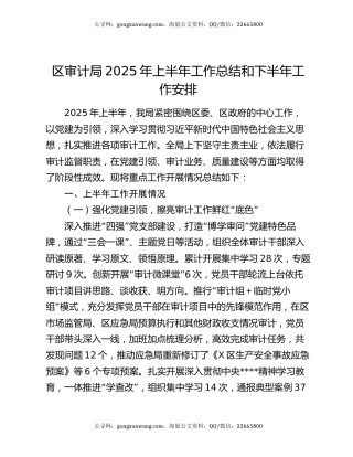区审计局2025年上半年工作总结和下半年工作安排