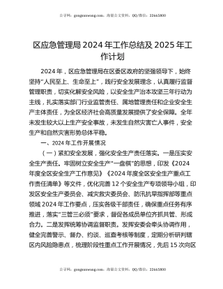 区应急管理局2024年工作总结及2025年工作计划