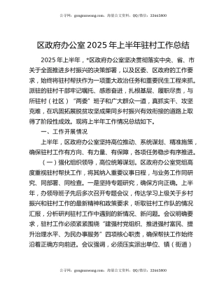 区政府办公室2025年上半年驻村工作总结