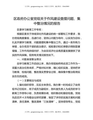区政府办公室党组关于作风建设查摆问题、集中整治情况的报告