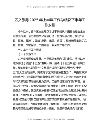 区文旅局2025年上半年工作总结及下半年工作安排