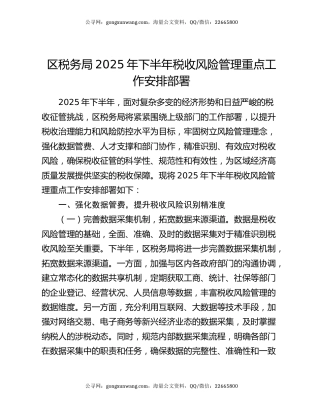 区税务局2025年下半年税收风险管理重点工作安排部署