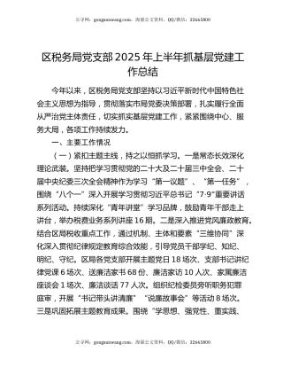 区税务局党支部2025年上半年抓基层党建工作总结