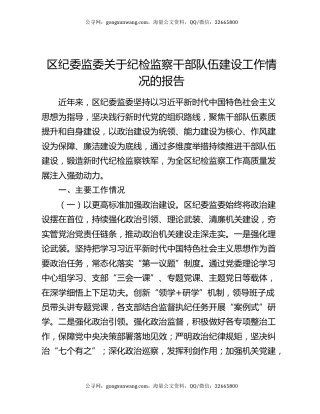 区纪委监委关于纪检监察干部队伍建设工作情况的报告
