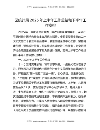 区统计局2025年上半年工作总结和下半年工作安排