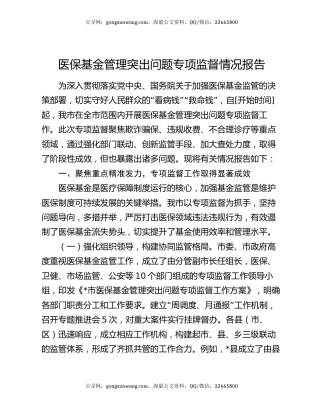 医保基金管理突出问题专项监督情况报告