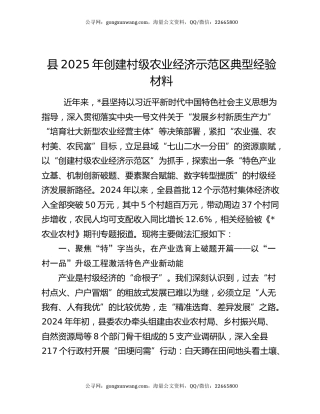 县2025年创建村级农业经济示范区典型经验材料