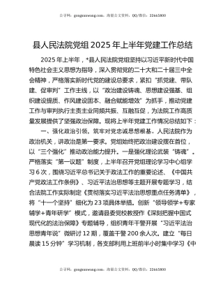 县人民法院党组2025年上半年党建工作总结