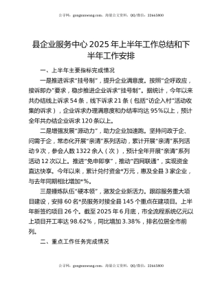 县企业服务中心2025年上半年工作总结和下半年工作安排