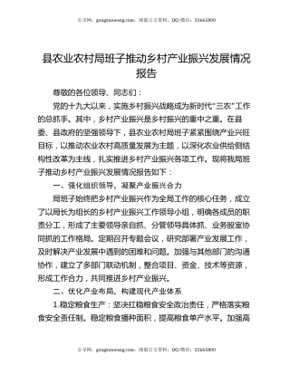 县农业农村局班子推动乡村产业振兴发展情况报告