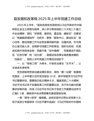 县发展和改革局2025年上半年党建工作总结