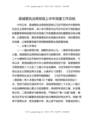 县城管执法局党组上半年党建工作总结