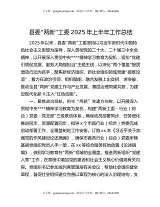 县委“两新”工委2025年上半年工作总结