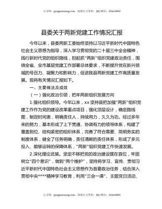 县委关于两新党建工作情况汇报