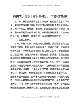 县委关于巡察干部队伍建设工作情况的报告