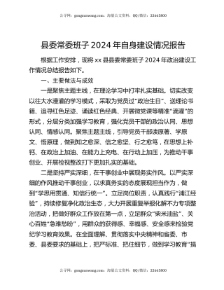 县委常委班子2024年自身建设情况报告