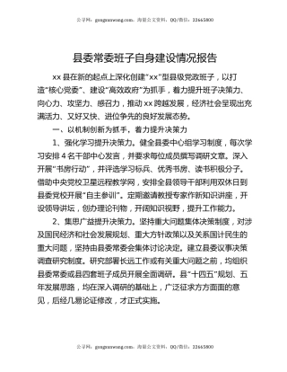 县委常委班子自身建设情况报告