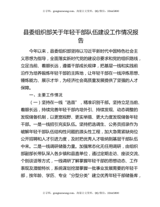 县委组织部关于年轻干部队伍建设工作情况报告