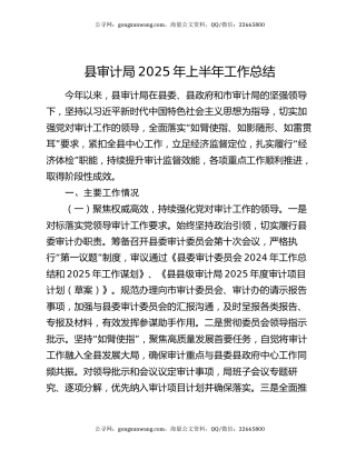 县审计局2025年上半年工作总结