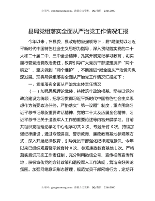 县局党组落实全面从严治党工作情况汇报