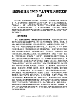 县应急管理局2025年上半年意识形态工作总结