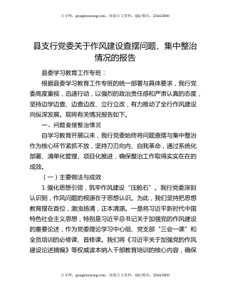 县支行党委关于作风建设查摆问题、集中整治情况的报告