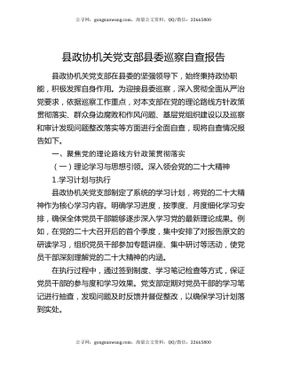 县政协机关党支部县委巡察自查报告